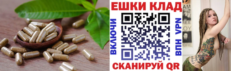 Ecstasy MDMA  где продают наркотики  Новоржев 