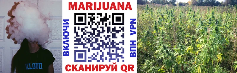 MEGA рабочий сайт  Новоржев  Конопля Bruce Banner 